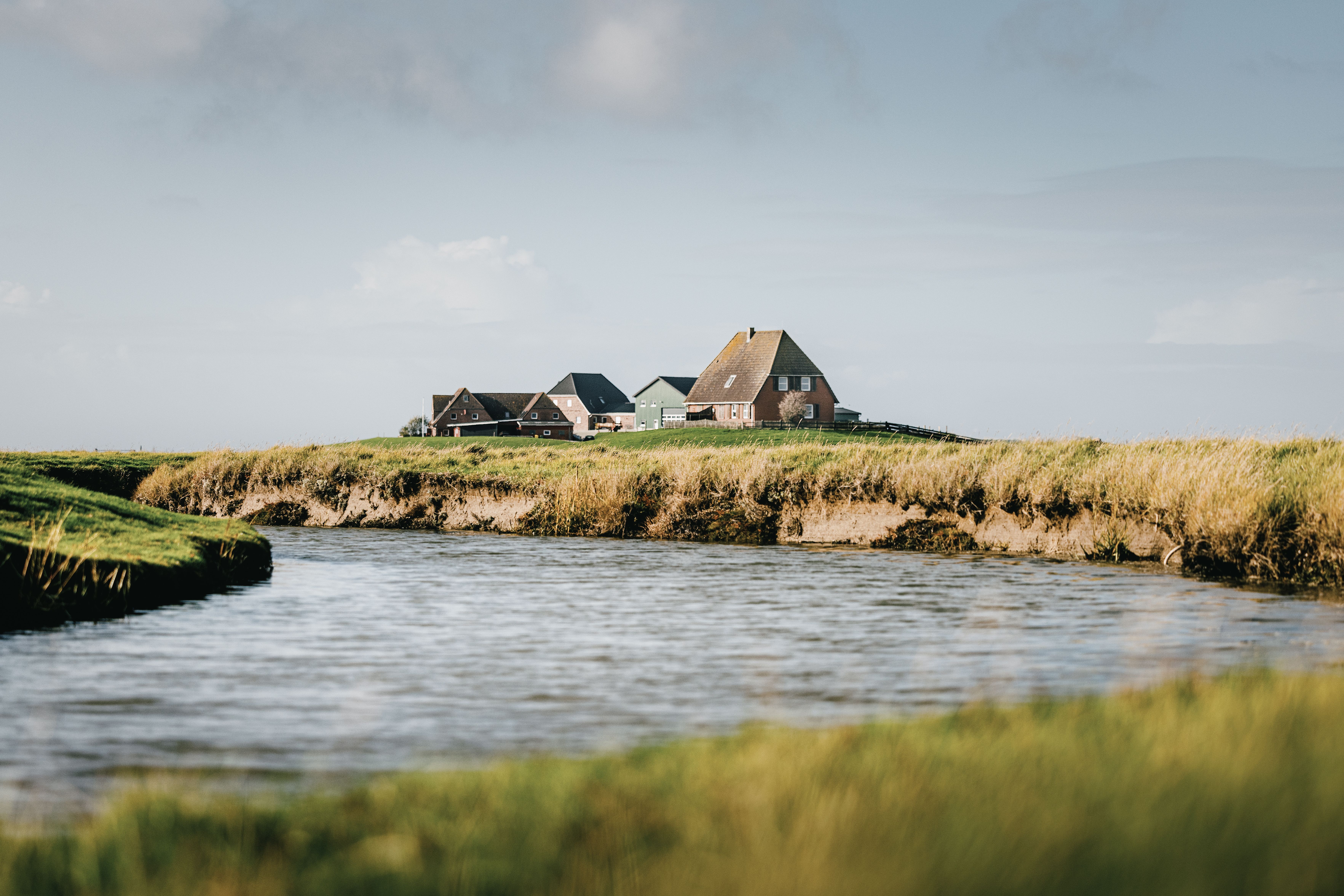 Häuser auf Warft auf Hallig Nordstrandischmoor