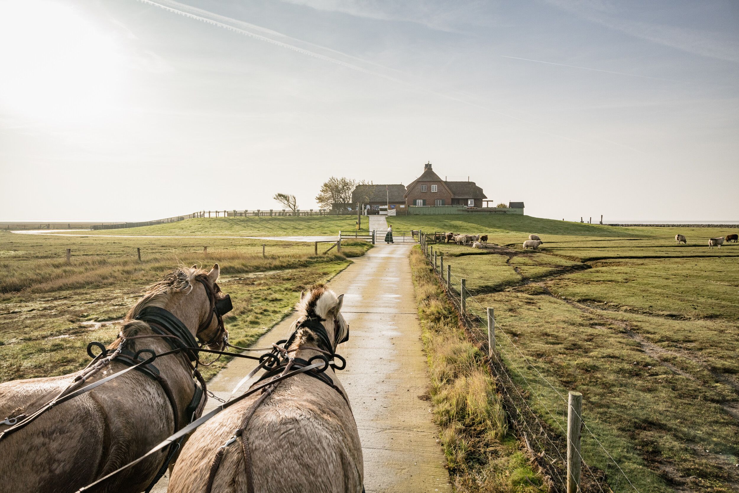 Ankunft auf der Hallig Südfall