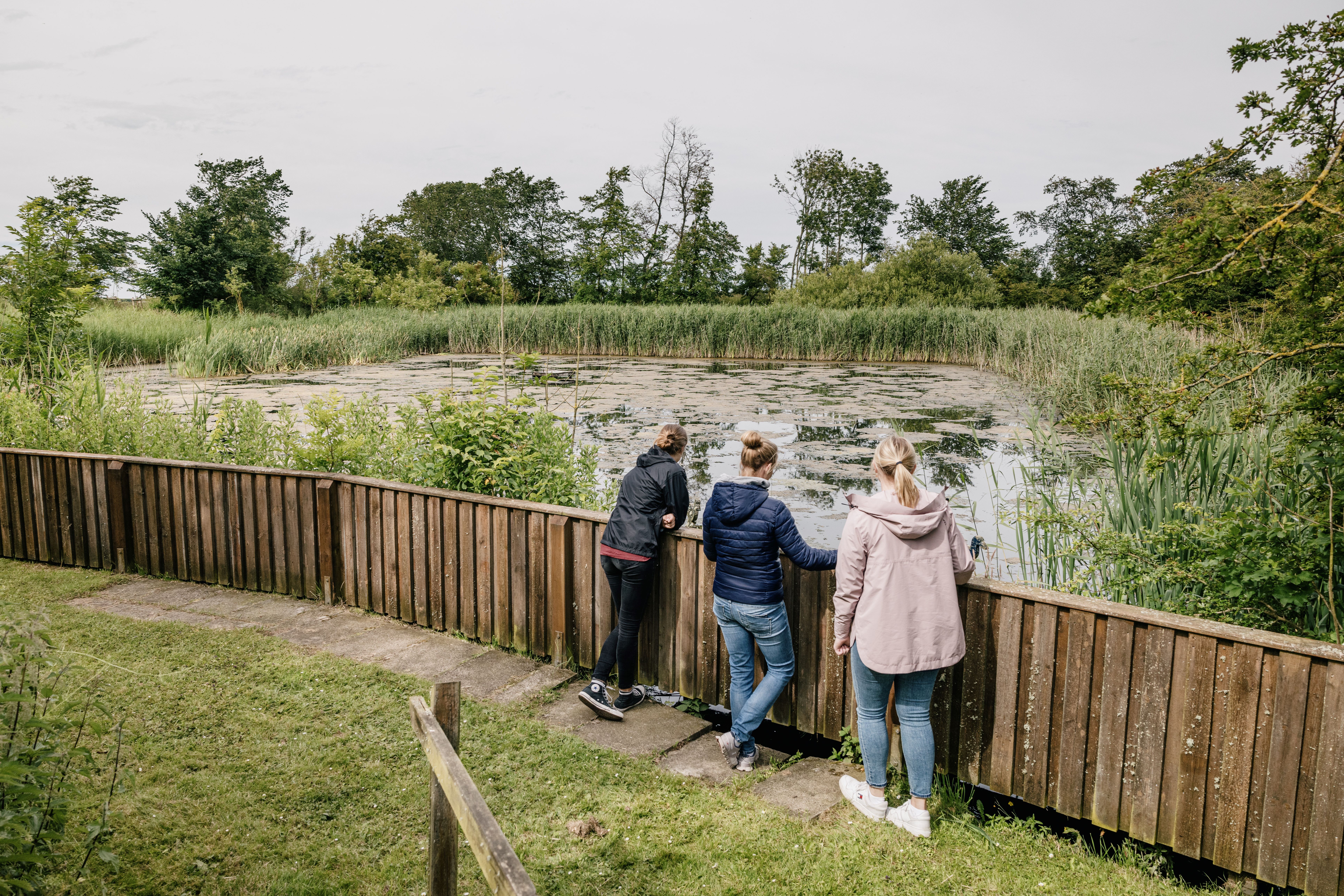 drei Frauen sehen sich die Vogelkoje auf Nordstrand an