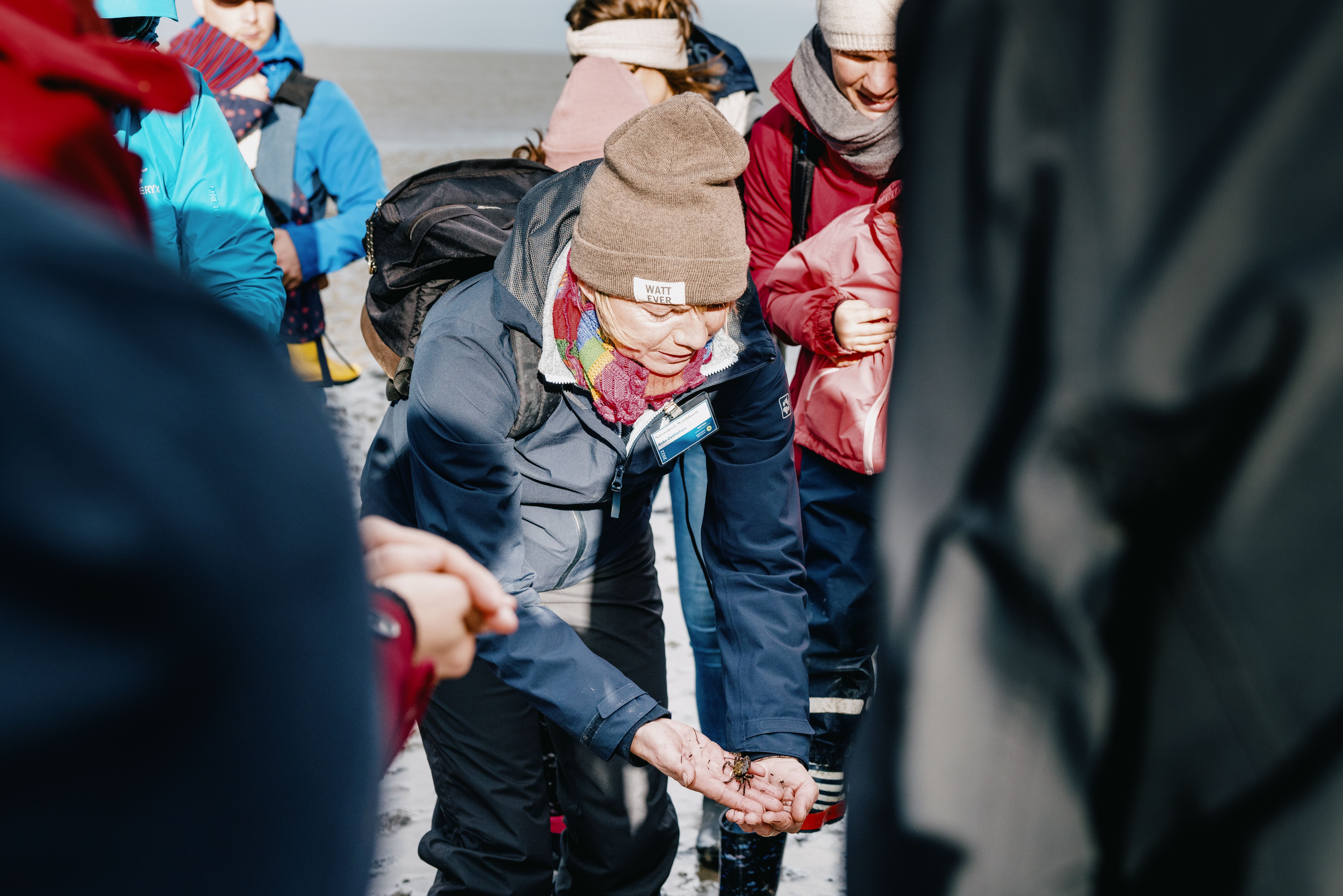 Wattwandern und viel lernen über das Wattenmeer von einer Wattführerin