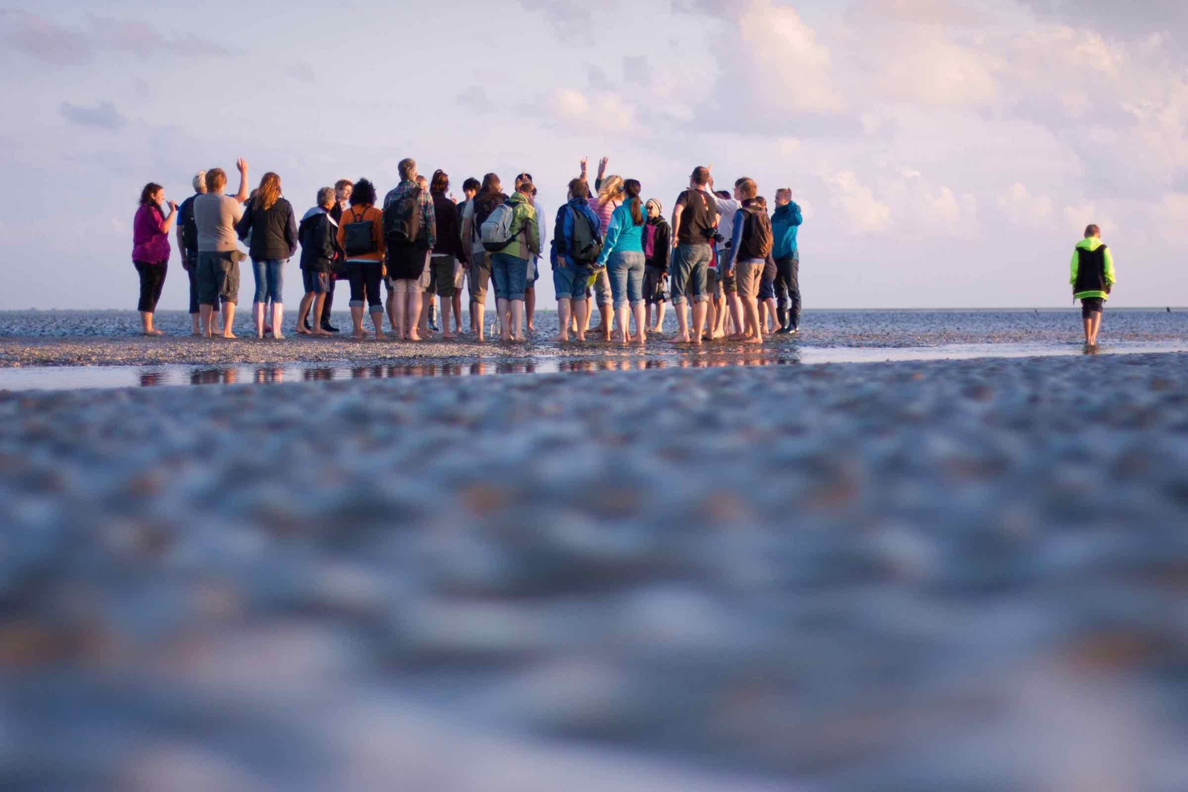 Weit hinaus ins Watt? Wir nehmen Sie bei dieser Tour bis an die Norderhever mit, einen großen Strom vor Nordstrand. Natürlich lernen Sie auch den Wattwurm und weitere Bewohner des Wattenmeers kennen.