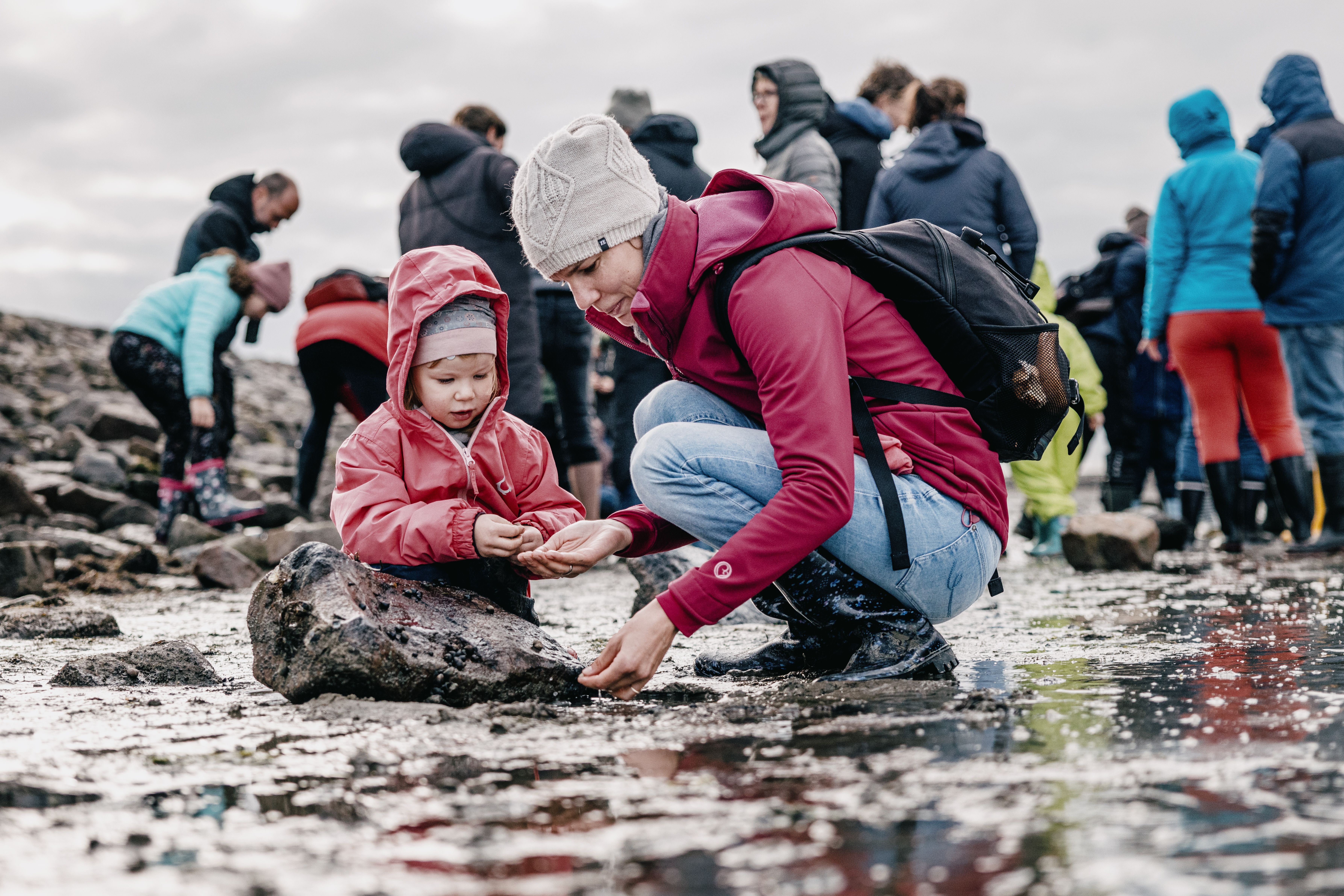 Das Wattenmeer bei einer Wattfürhung entdecken