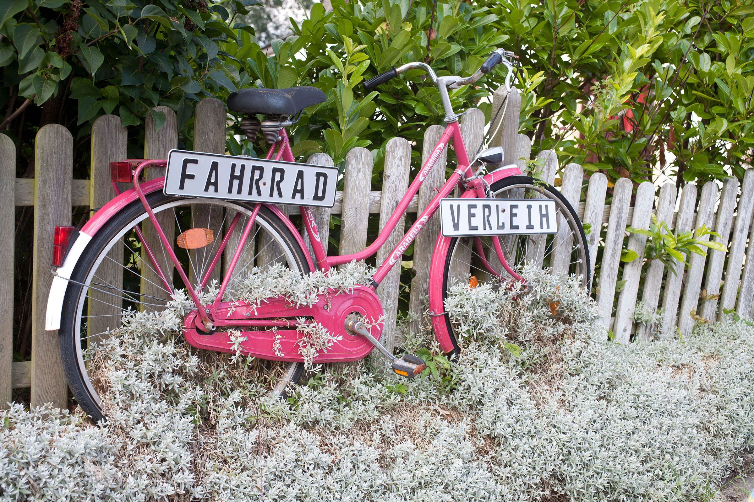 Fahrrad im Grünen